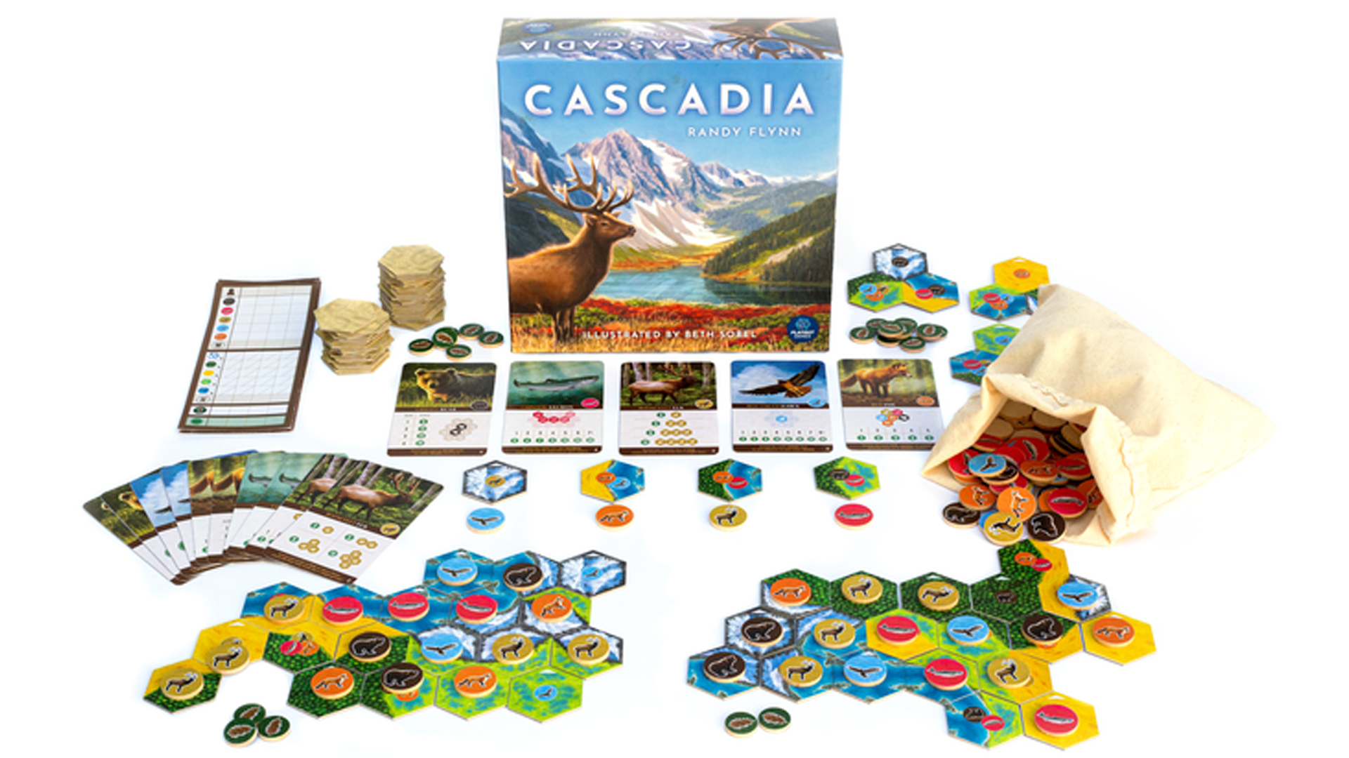 Point Salad studio’s next game, Cascadia, recreates the beauty of the